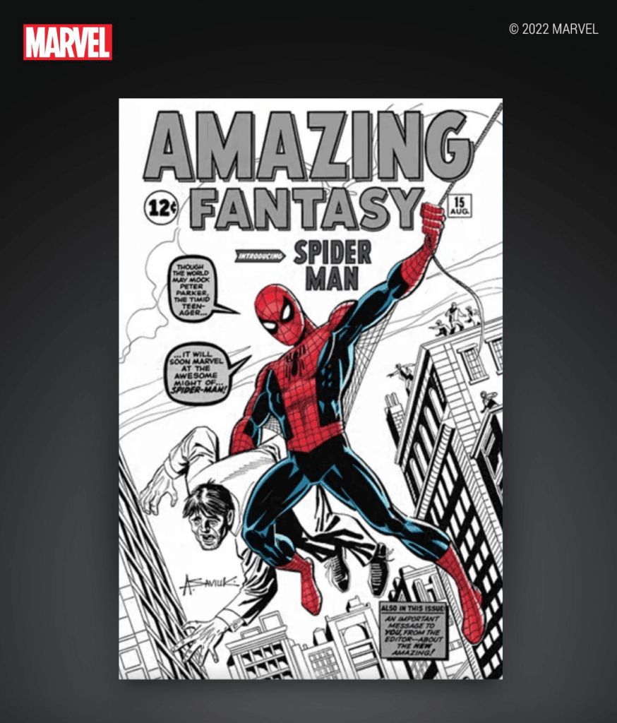 Marvel Comics — Amazing Fantasy #15 4