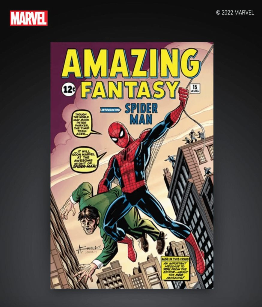 Marvel Comics — Amazing Fantasy #15 5