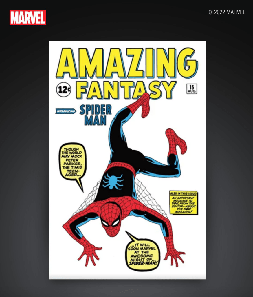 Marvel Comics — Amazing Fantasy #15 6