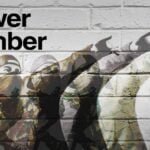 VEVE Brandalised — Flower Bomber Bansky