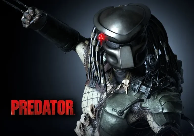 Bienvenue 16 Jungle Predator