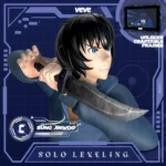 Solo Leveling – Sung Jinwoo